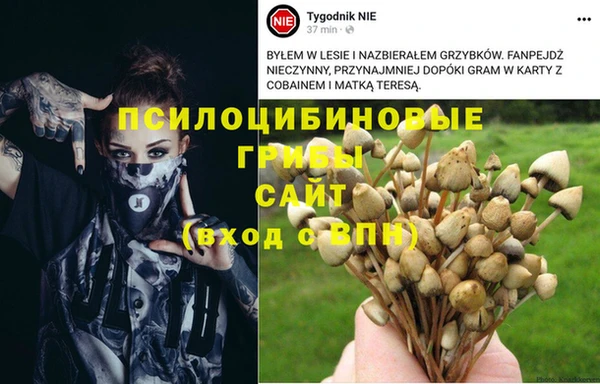 мет Абдулино