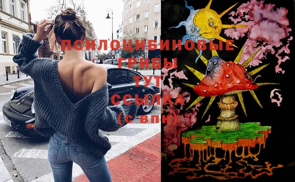 гашик Абинск