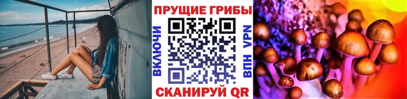 Галлюциногенные грибы Psilocybine cubensis  как найти закладки  Дмитровск 